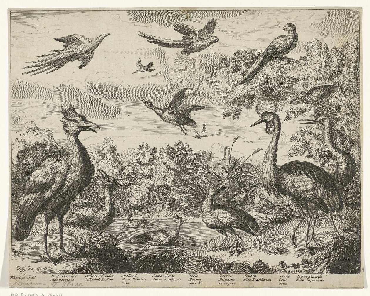 Diferentes pájaros en un paisaje. de Jan Griffier (I) (copy after)