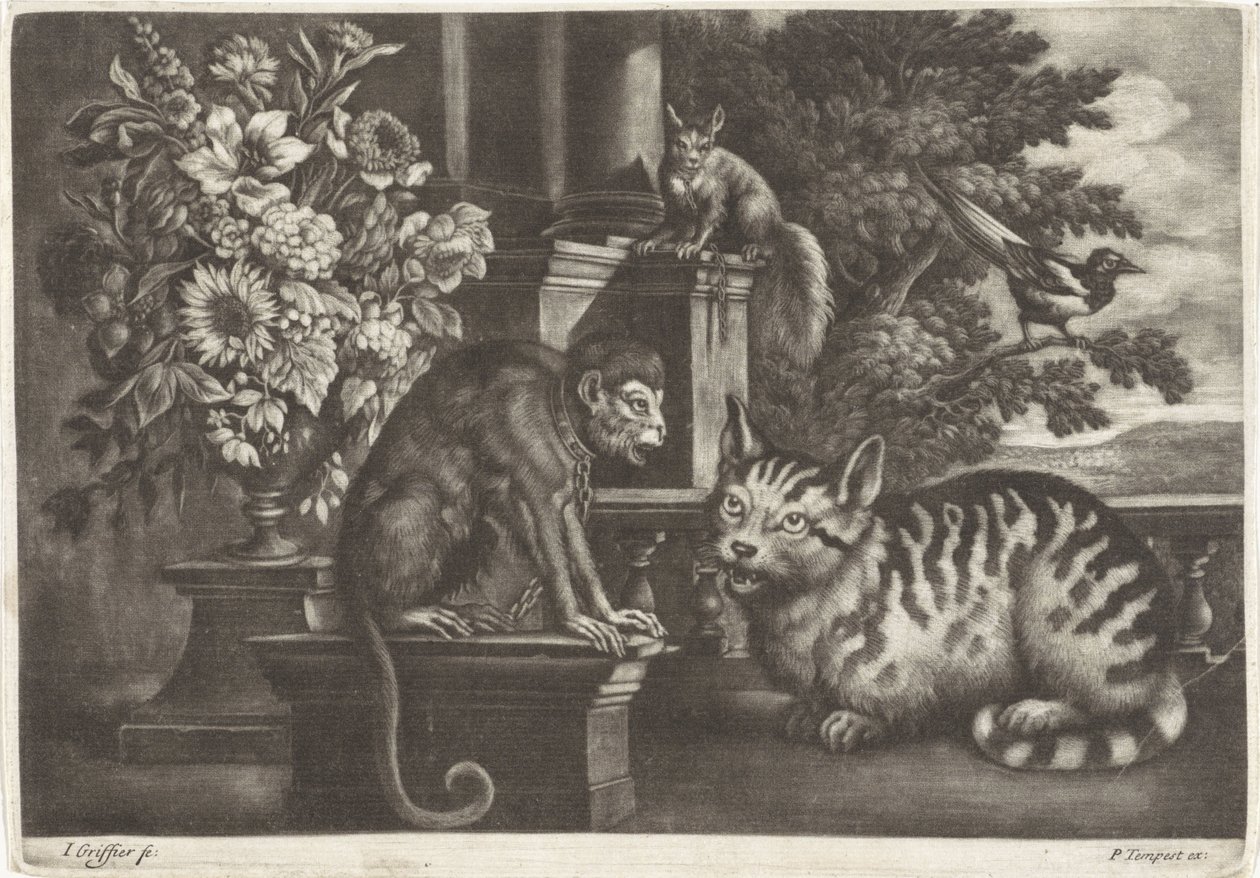 Aap, kat, eekhoorn y ekster de Jan Griffier (I)
