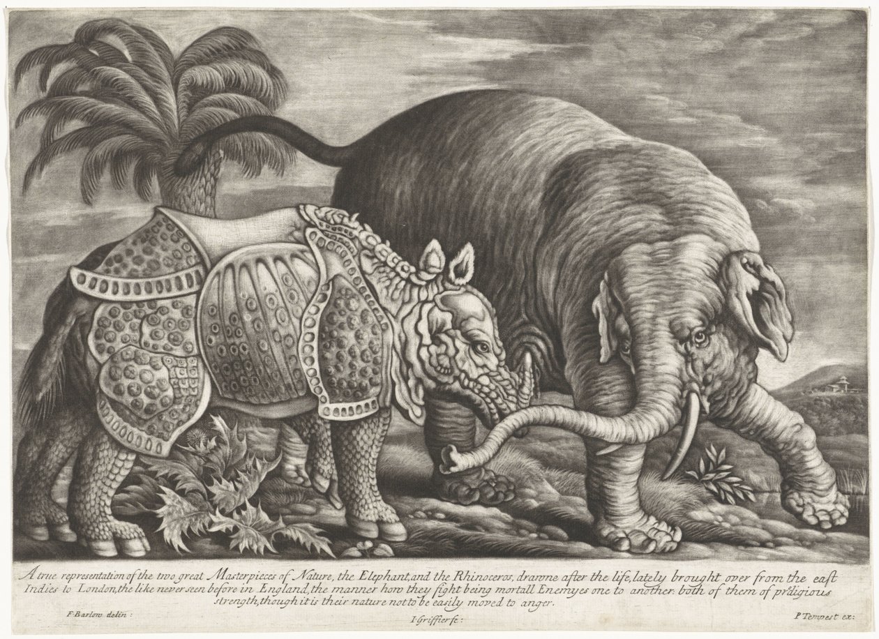 Olifant en Neushoorn Una verdadera representación de las dos grandes obras maestras de la naturaleza, el elefante y el rinoceronte (título sobre el objeto) de Jan Griffier (I)
