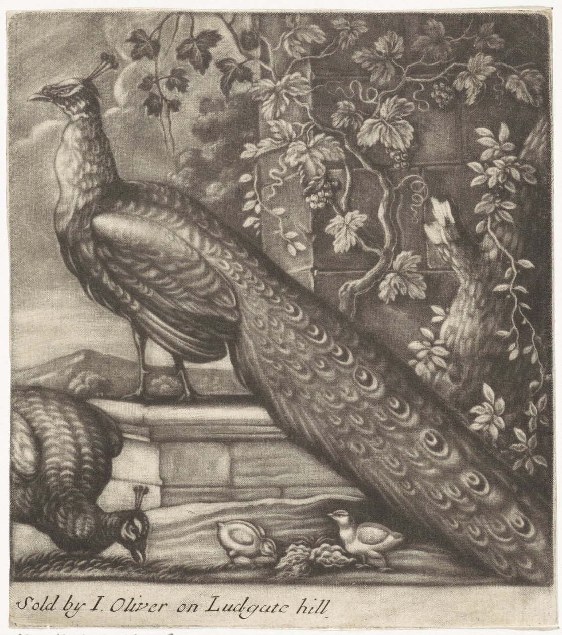 pavos reales de Jan Griffier (I)