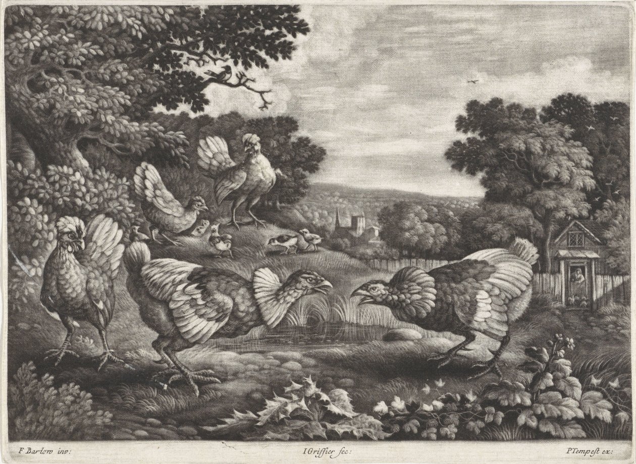 pollos de pelea de Jan Griffier (I)