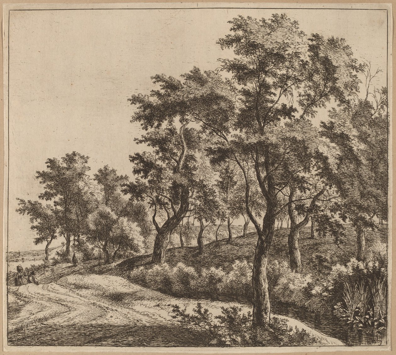 Paisaje con un arroyo de Jan Hackaert