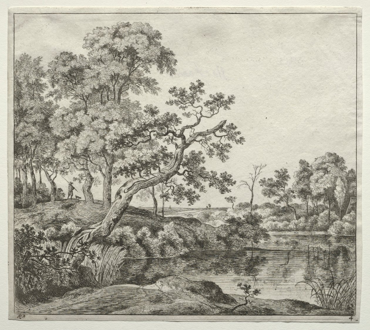 El árbol curvado de Jan Hackaert