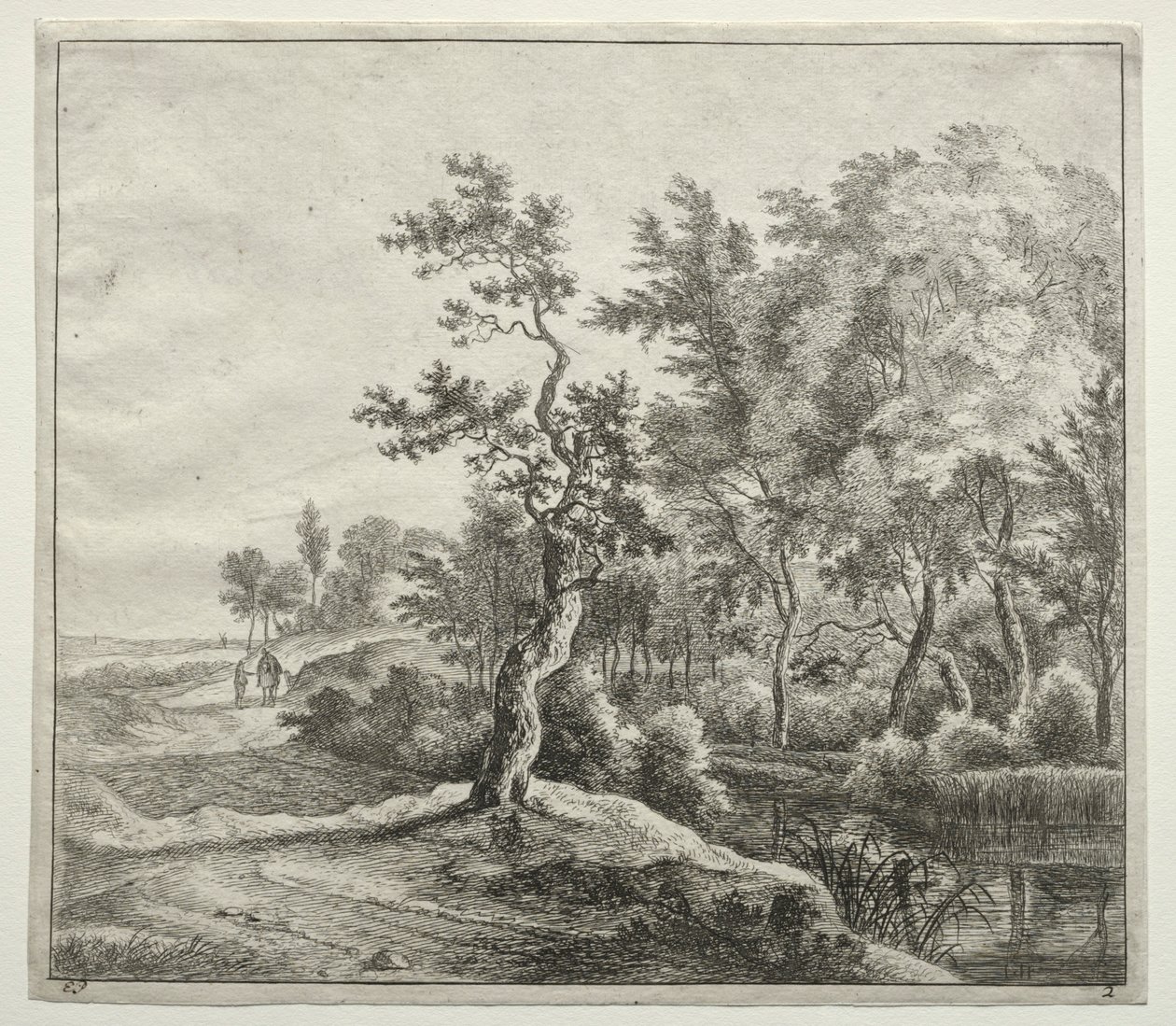 La carretera serpentina de Jan Hackaert