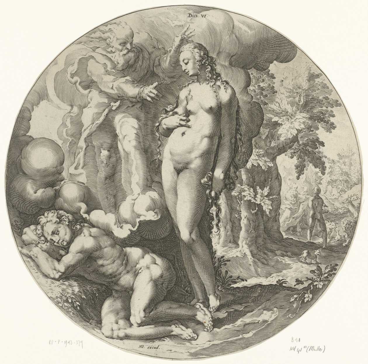 Sexto Día de la Creación: Creación del Hombre Dies VI (título sobre objeto) Creación del mundo (título de la serie) de Jan Harmensz. Muller