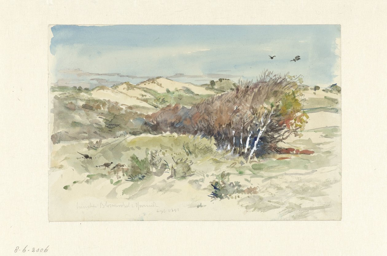 Paisaje de dunas entre Bloemendaal e IJmuiden de Jan Hoynck van Papendrecht