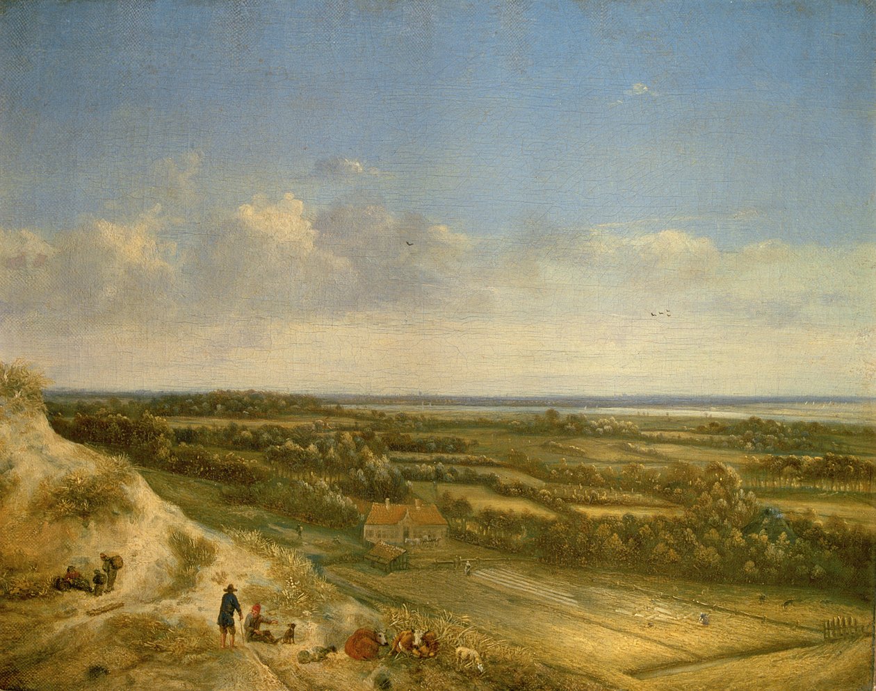 Paisaje de dunas, presumiblemente cerca de Santpoort, c.1675 (óleo sobre lienzo) de Jan II Vermeer van Haarlem