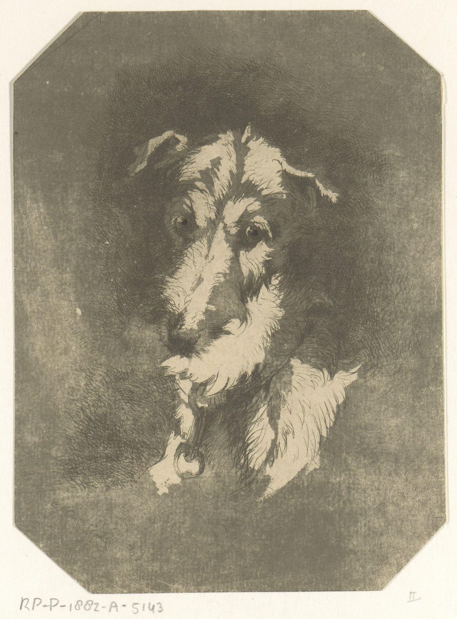 cabeza de galgo de Jan Karel Jacob de Jonge