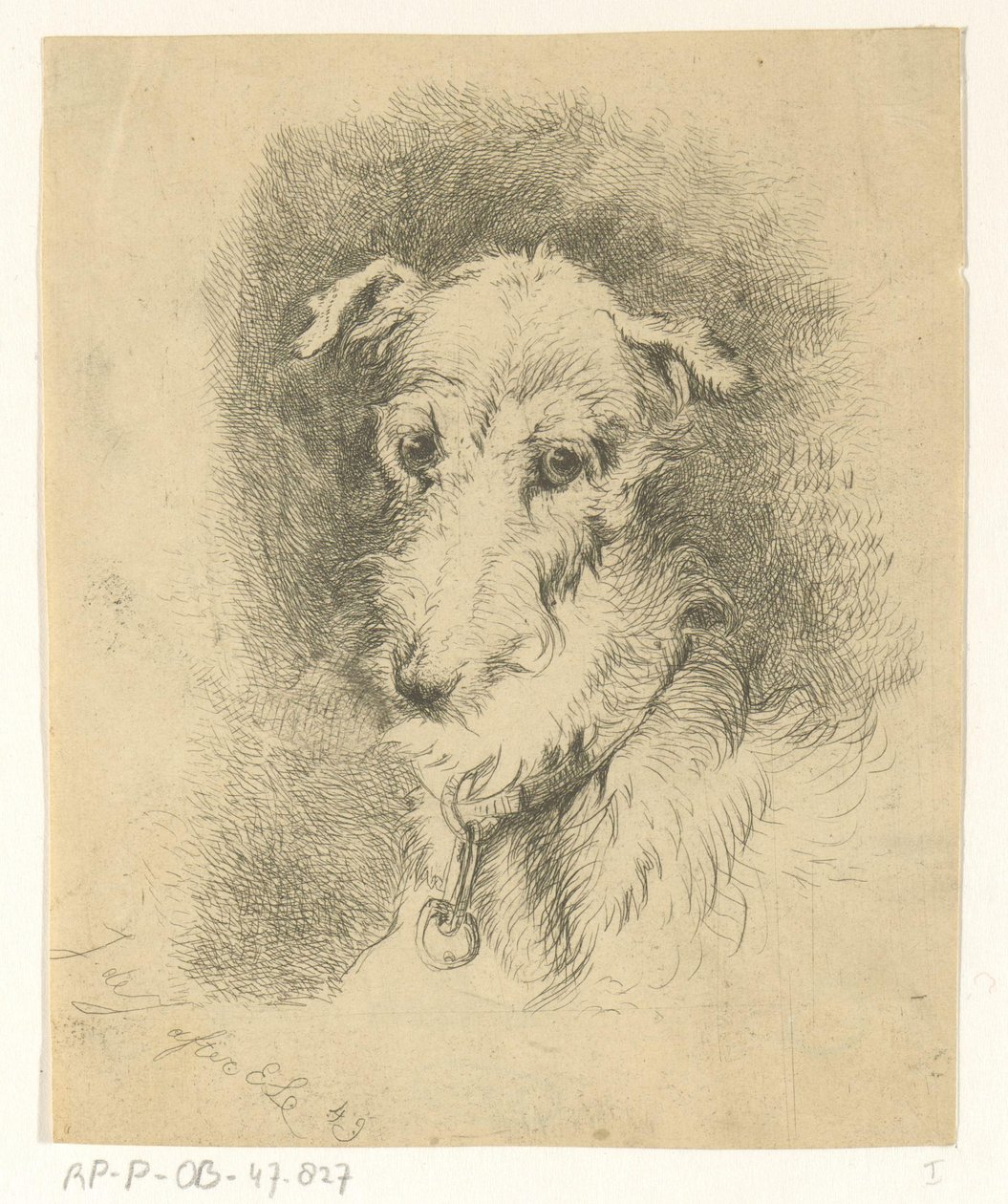 cabeza de galgo de Jan Karel Jacob de Jonge
