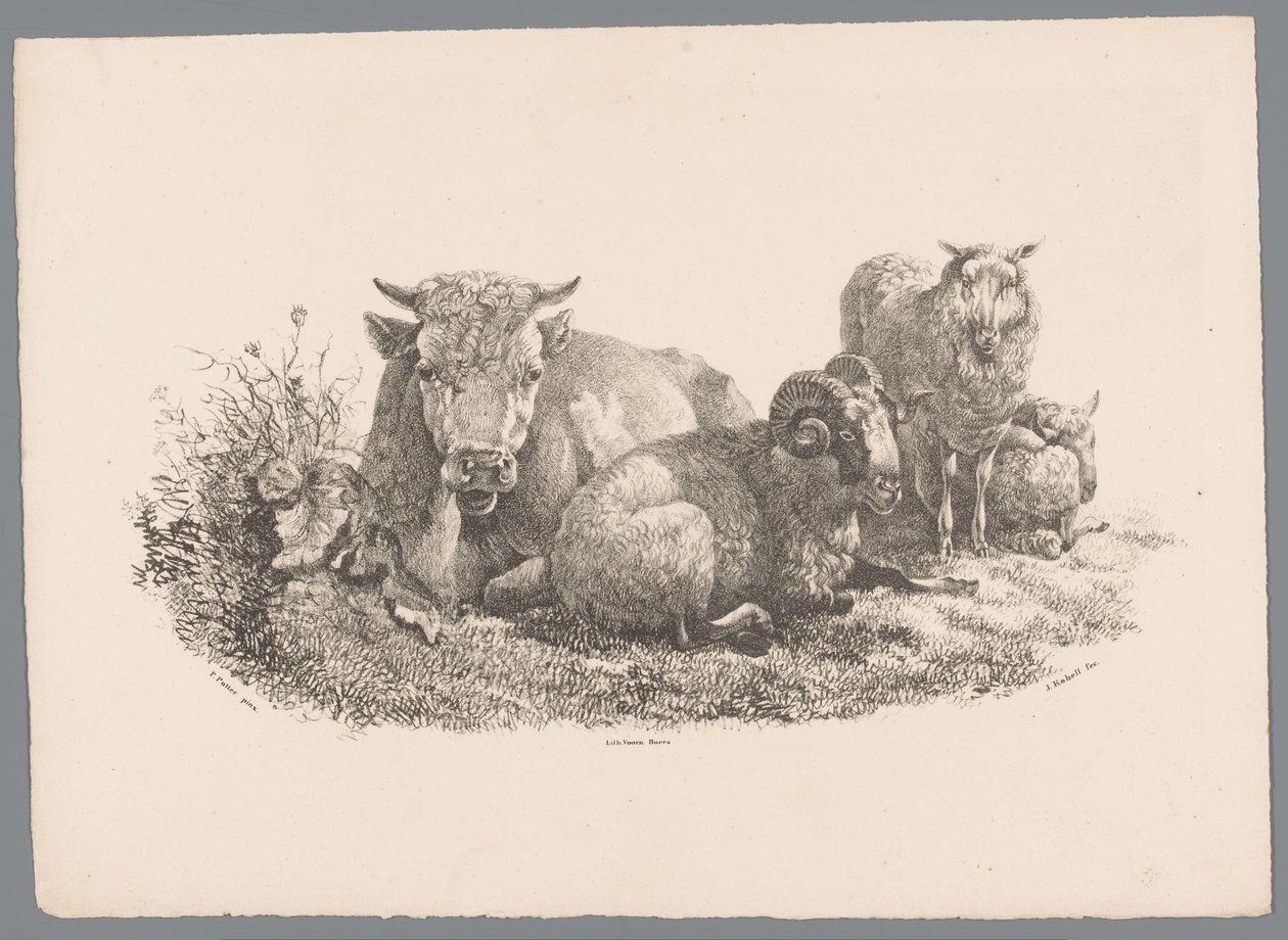 Vaca, carnero y dos ovejas Beesten Studien por J. Kobell después de Paul Potter Nr. 1 (título de la serie) de Jan Kobell (III)