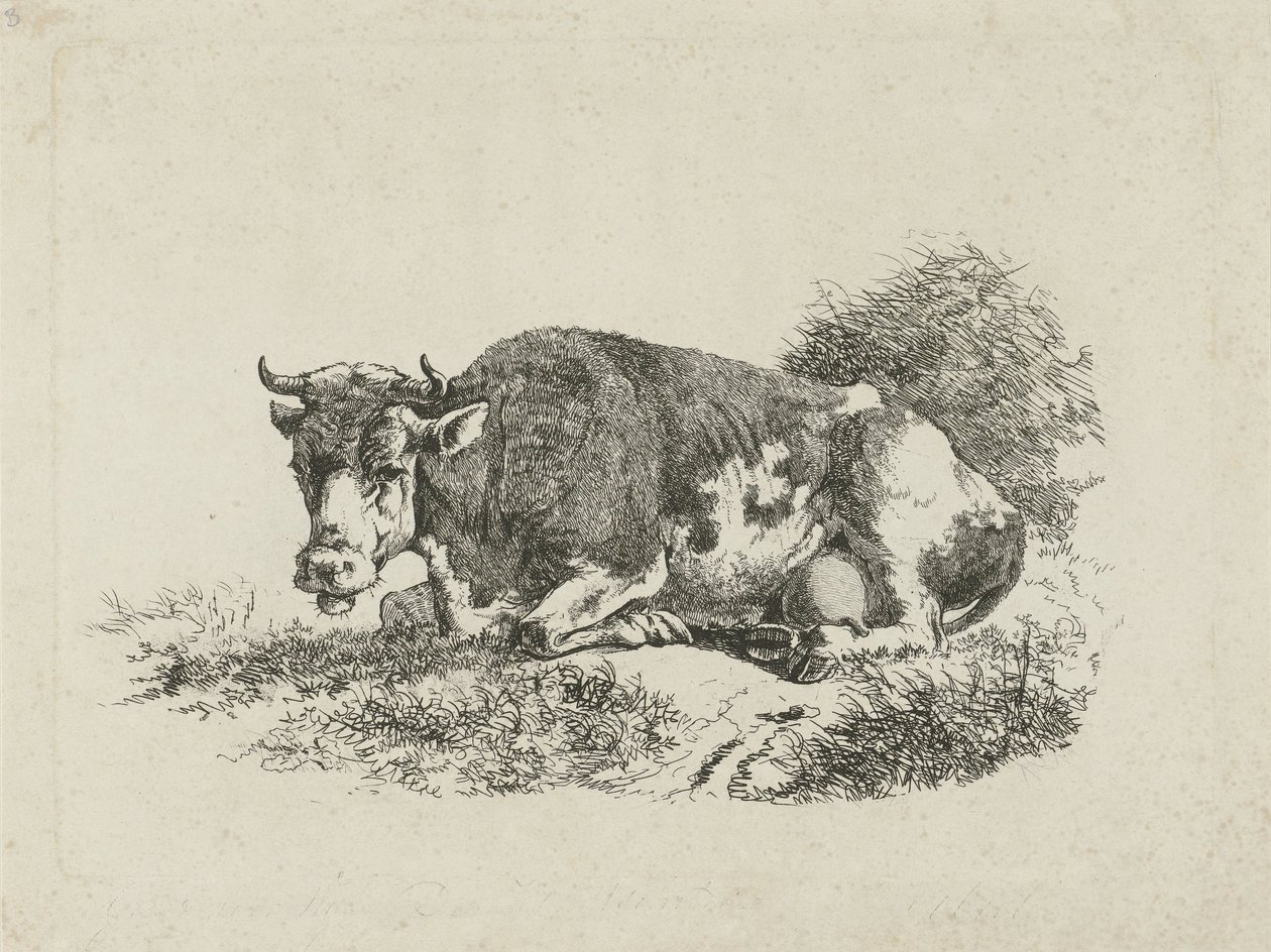 vaca mentirosa de Jan Kobell (III)