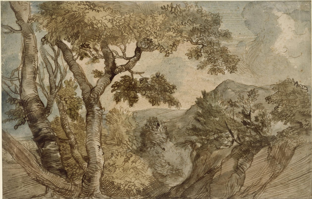 Paisaje montañoso con grupo de árboles de Jan Lievens