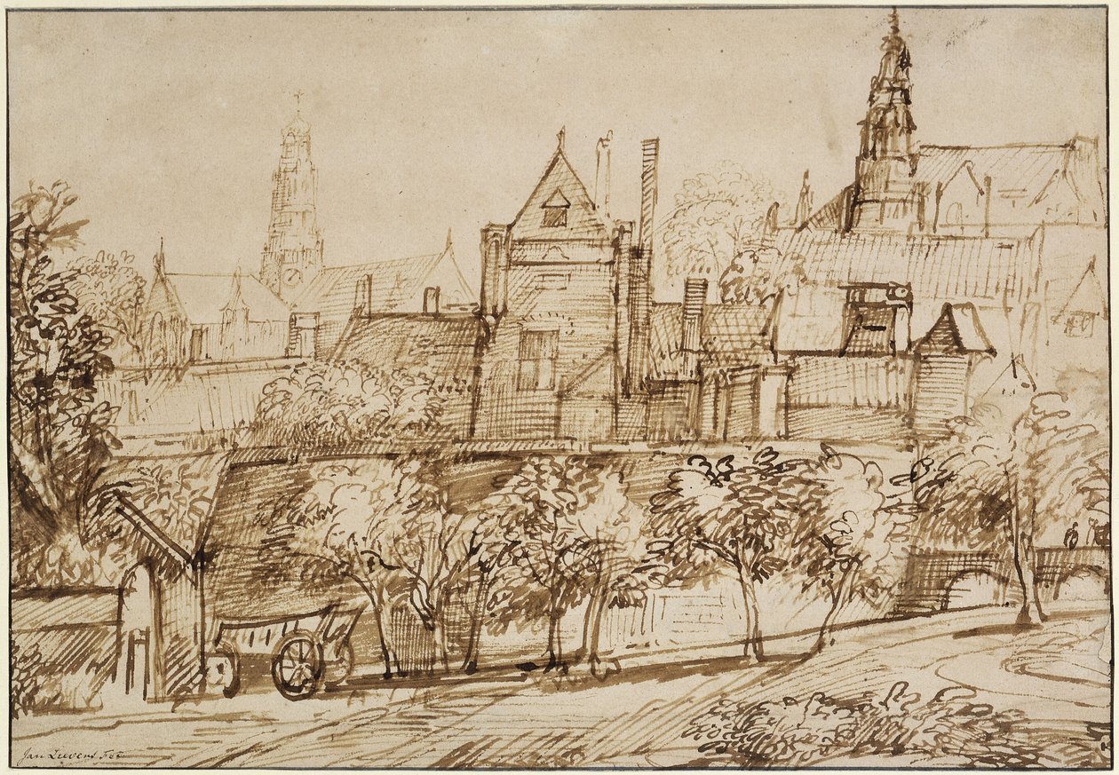 Vista de la Groote Kerk de Haarlem de Jan Lievens