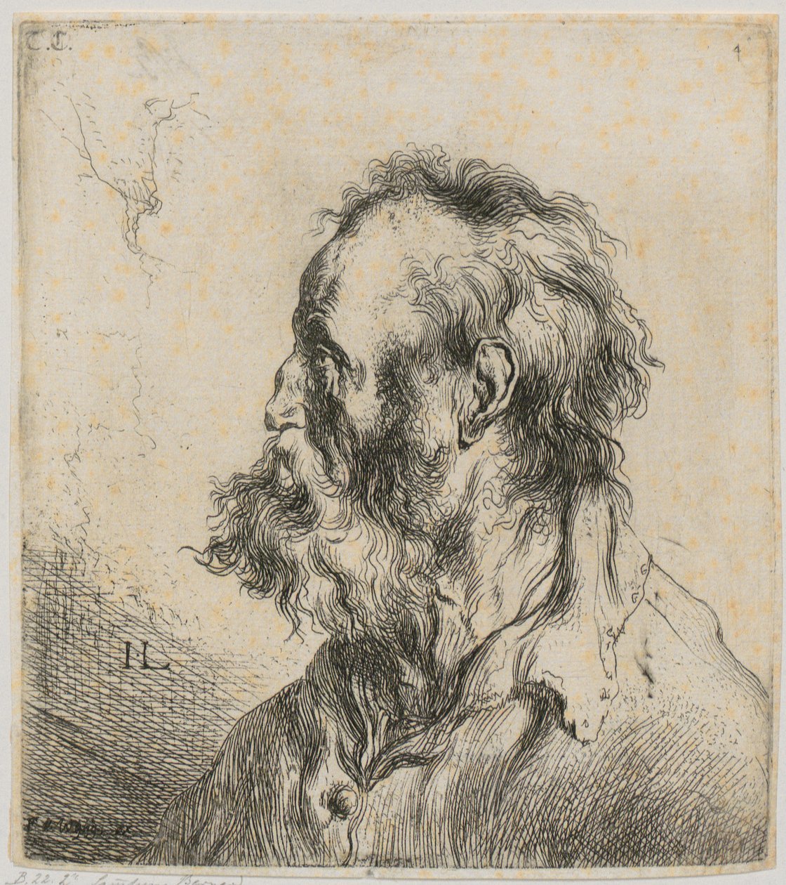 Retrato de busto de un anciano barbudo de Jan Lievens