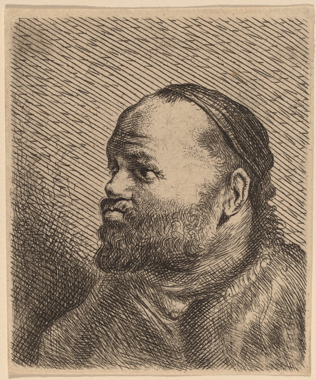 Busto de un hombre con labios gruesos de Jan Lievens
