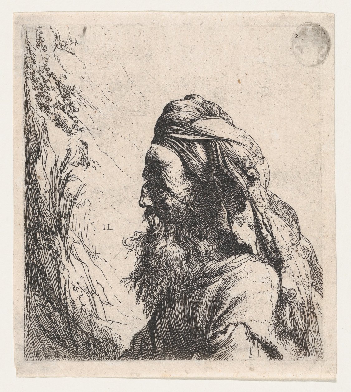 Hombre con turbante mirando hacia la izquierda de Jan Lievens