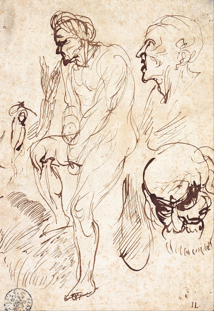 Estudios posteriores al Modelo de Jan Lievens