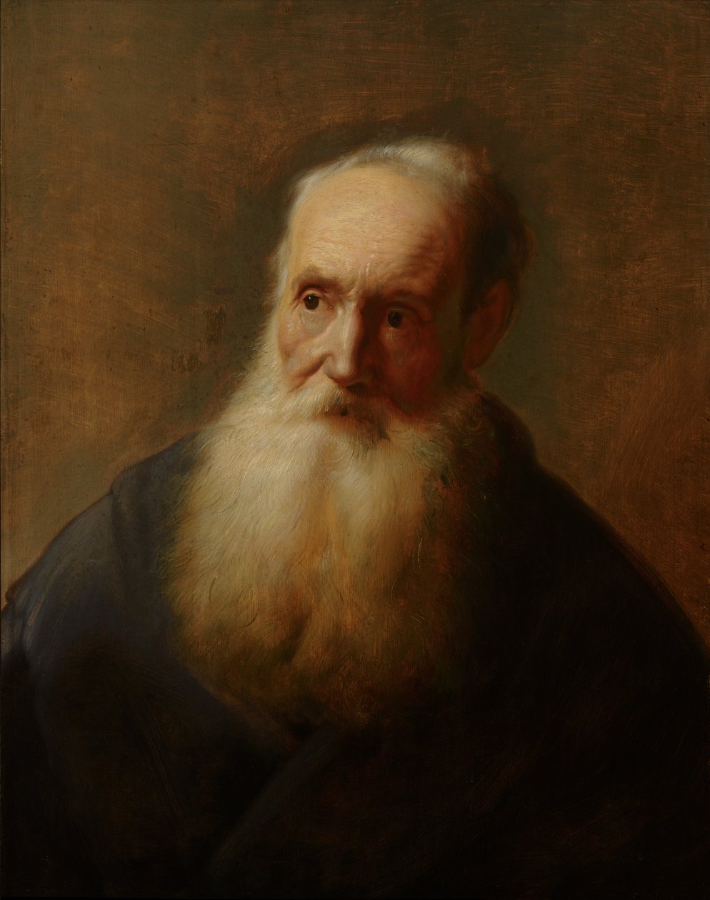 Tronie de un anciano de Jan Lievens