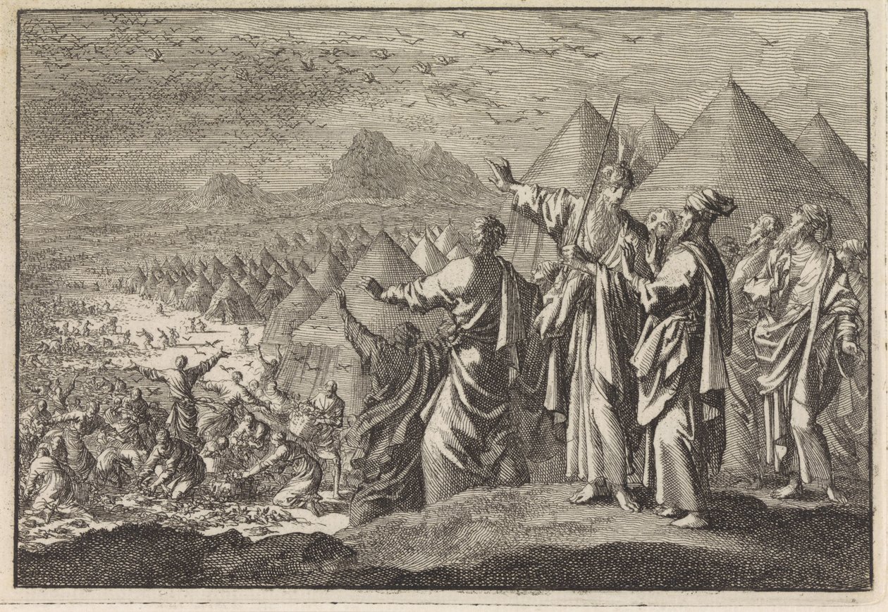 Codorniz en el desierto de Jan Luyken