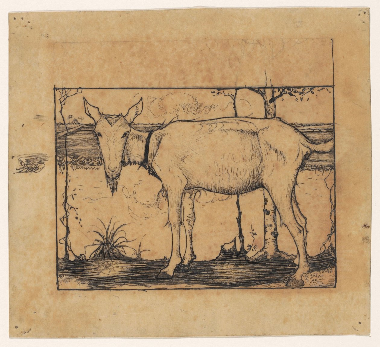 Cabra al lado de la zanja de Jan Mankes
