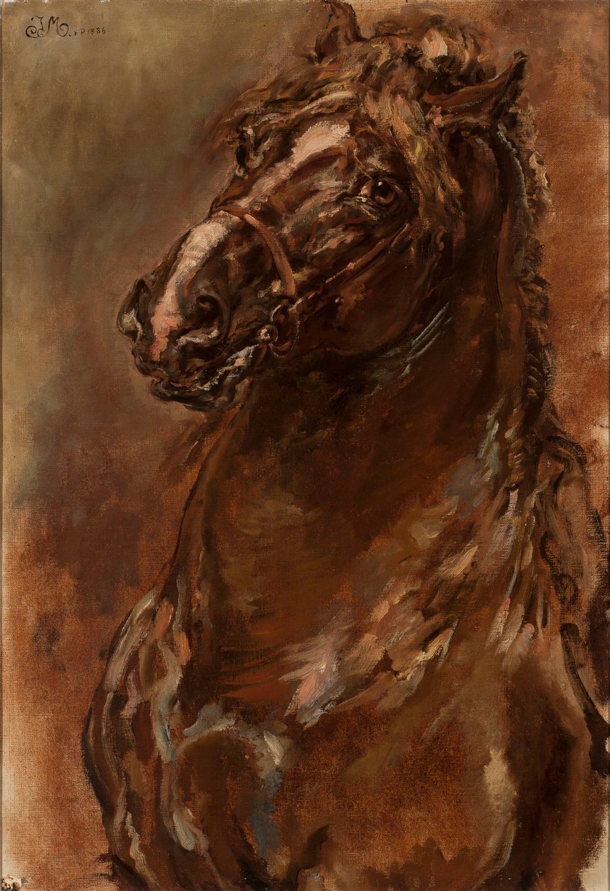 Estudio de la cabeza de un caballo para «La Doncella de Orleans» de Jan Matejko