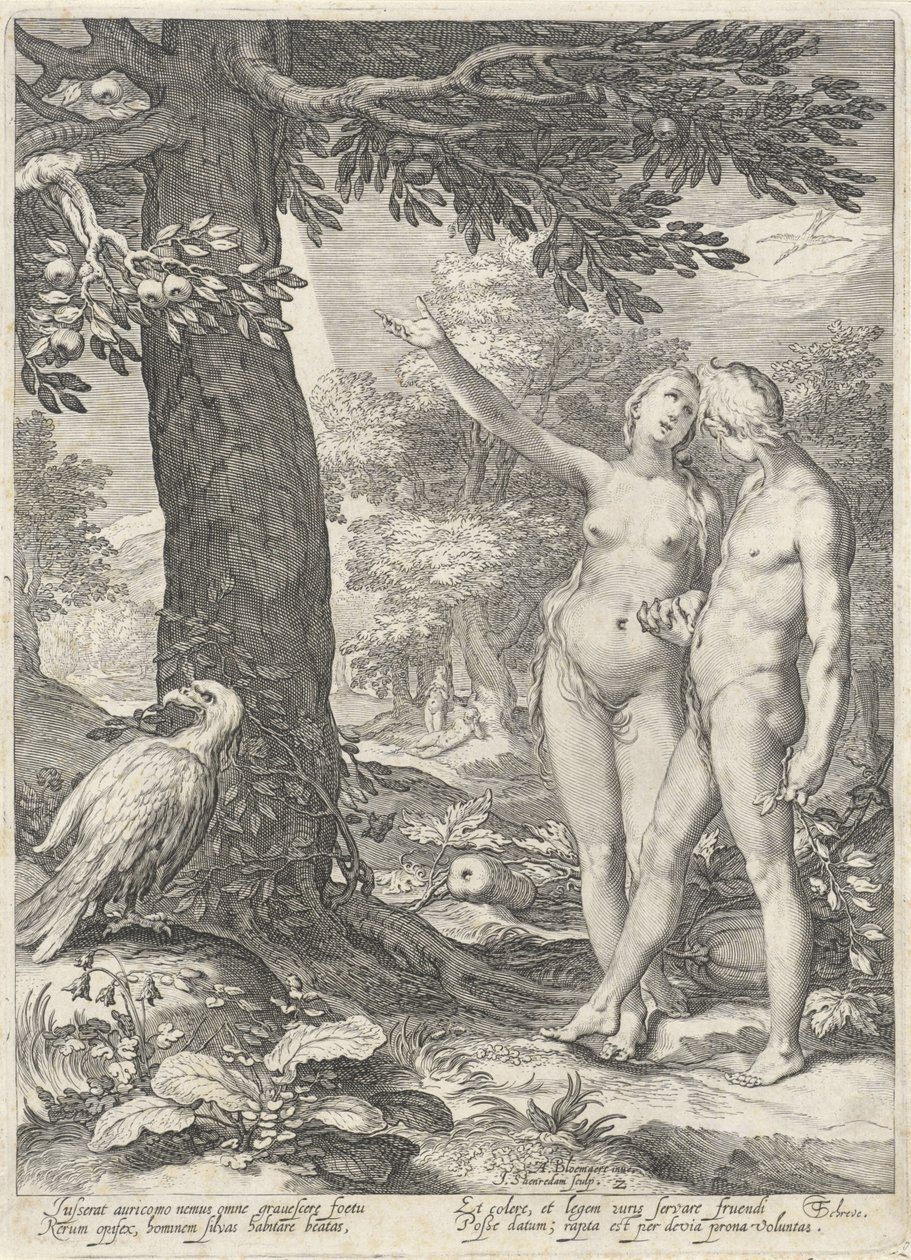 Adán y Eva frente al Árbol del Conocimiento del Bien y del Mal Adán y Eva (título de la serie) de Jan Saenredam