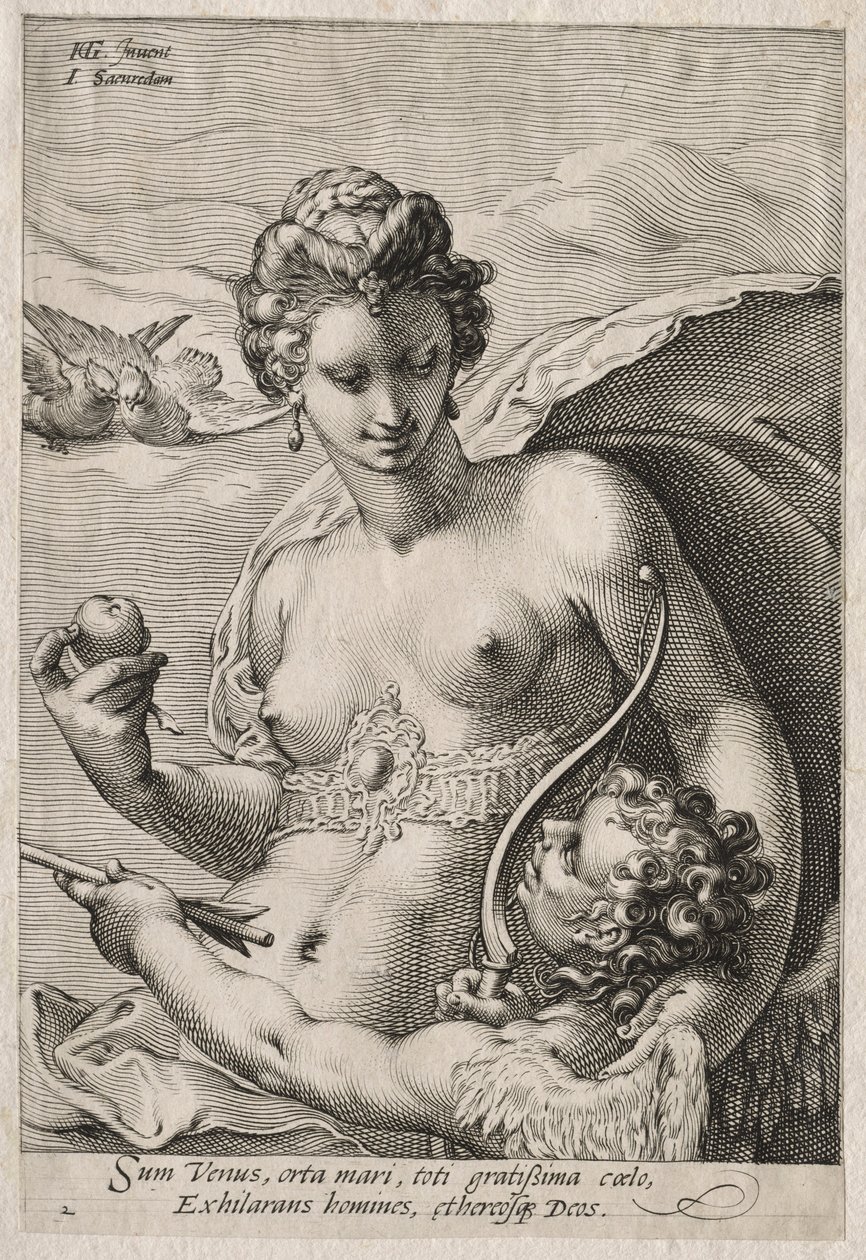 Venus y Cupido, c. 1595 de Jan Saenredam