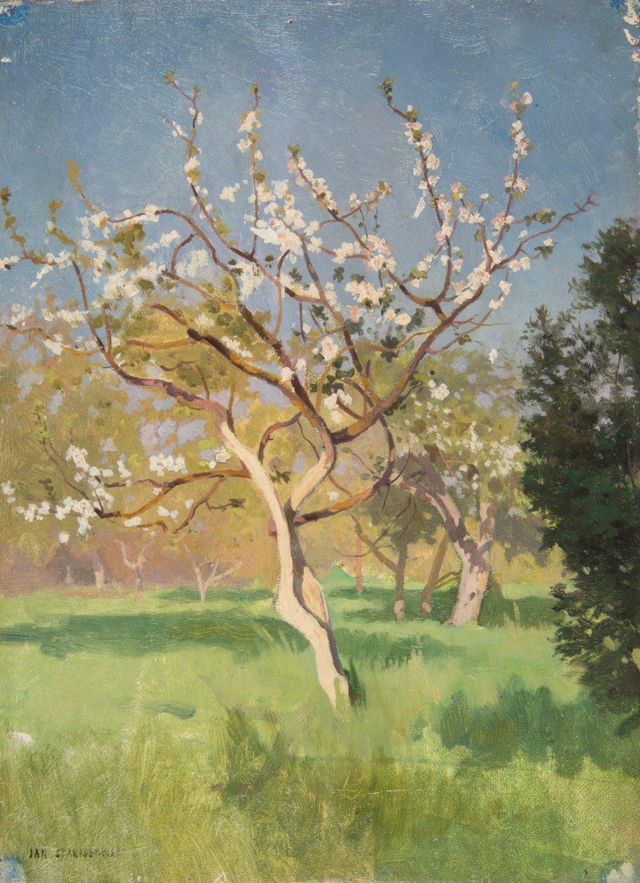 Manzano en flor de Jan Stanislawski