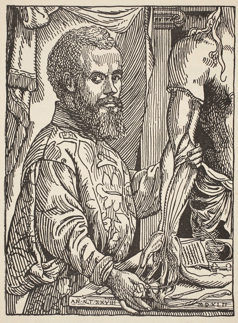 André Vesale, copia de Boris Mestchersky (d.1957), ilustración de Histoire de la Nation Française, Sciences, Volúmenes I y II, por Gabriel Hanotaux (1853-1944), 1924 de Jan Stephen van Calcar
