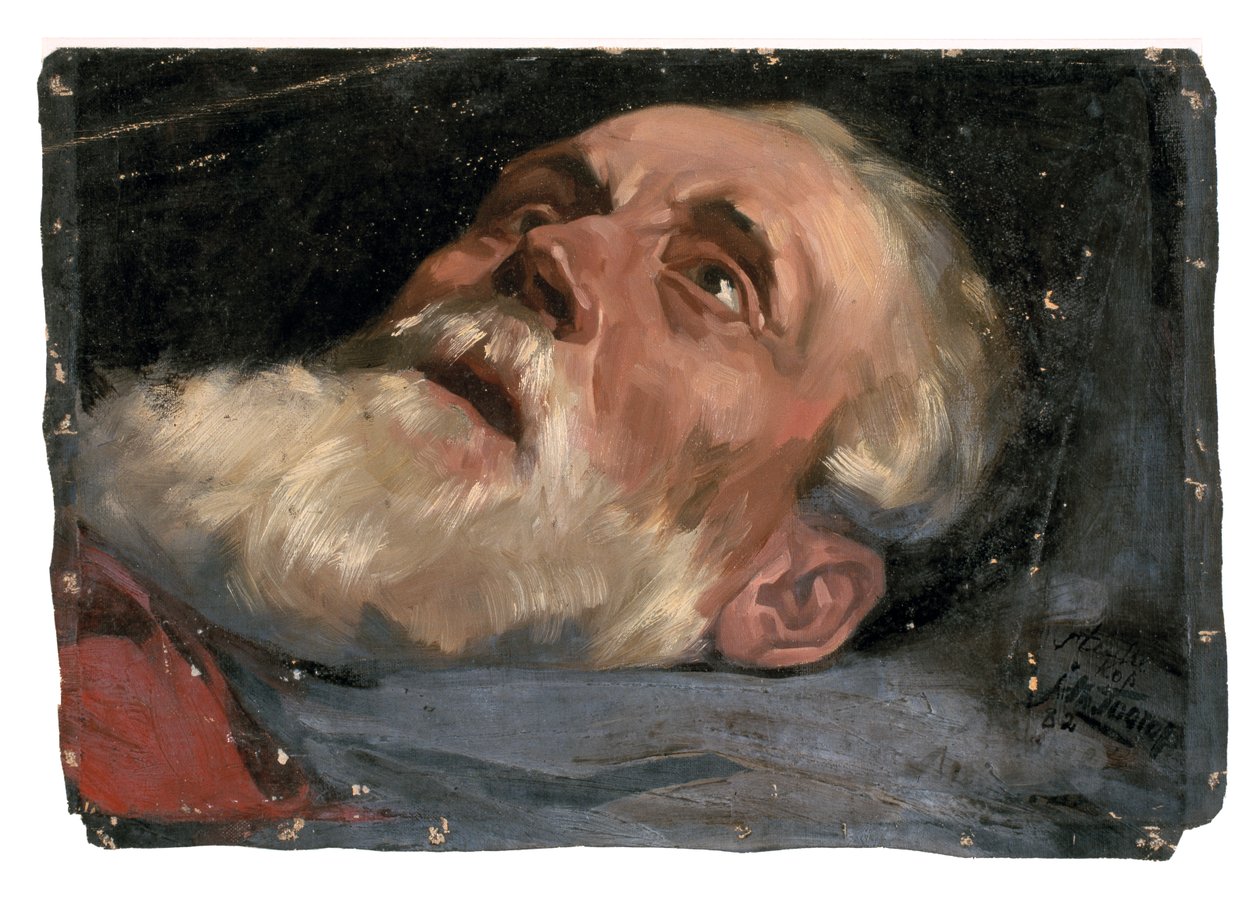 Cabeza de anciano (estudio) 1882 (óleo sobre lienzo) de Jan Toorop
