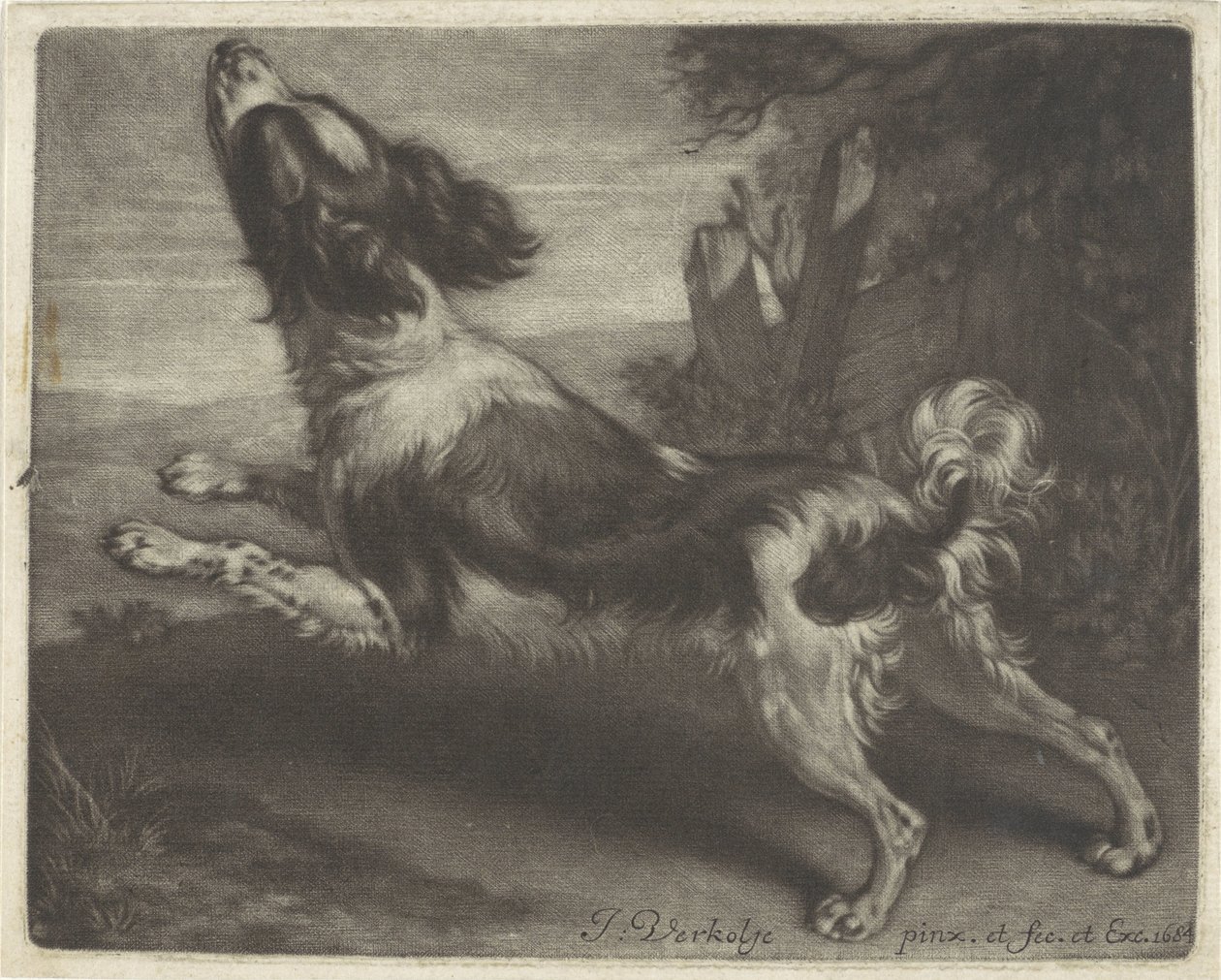 Perro corriendo, posiblemente un spaniel de Jan Verkolje (I)