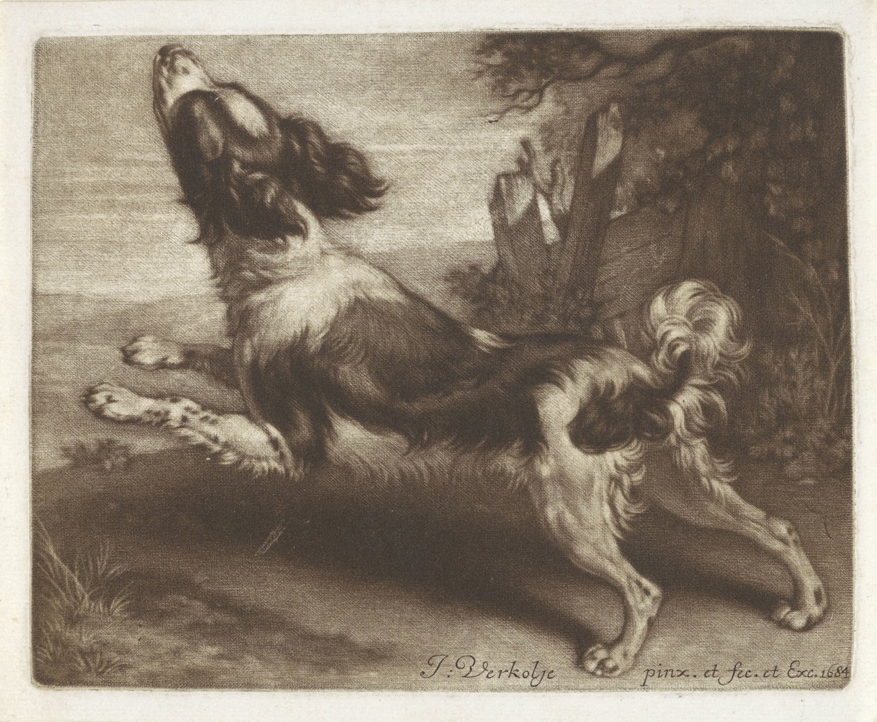 Perro corriendo, posiblemente un spaniel de Jan Verkolje (I)