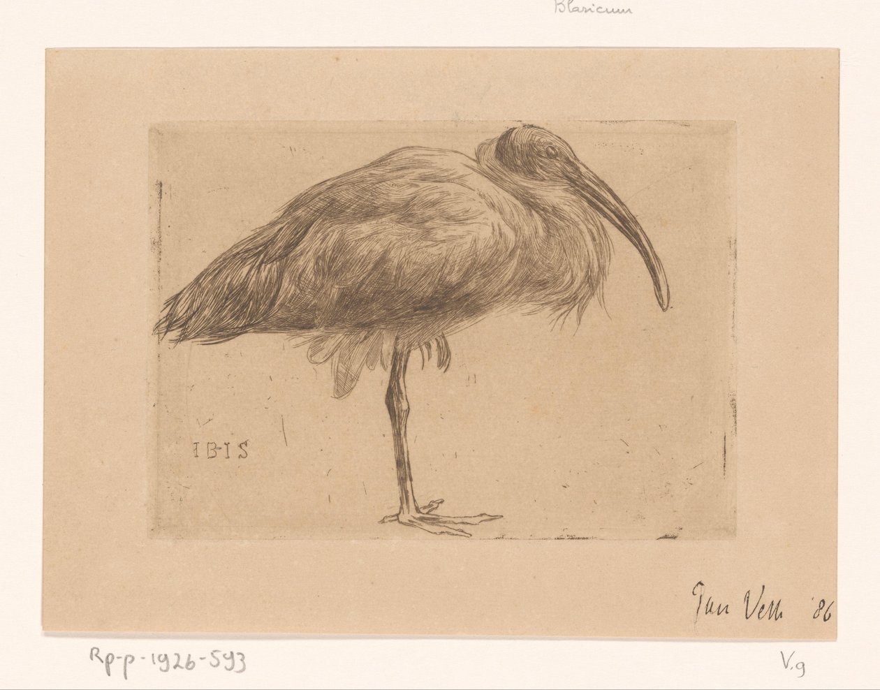 Ibis (título original del objeto) de Jan Veth (signed by artist)