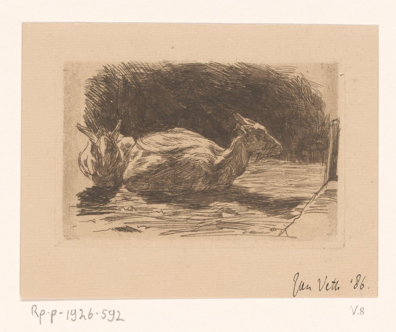 Dos cabras de Jan Veth (signed by artist)
