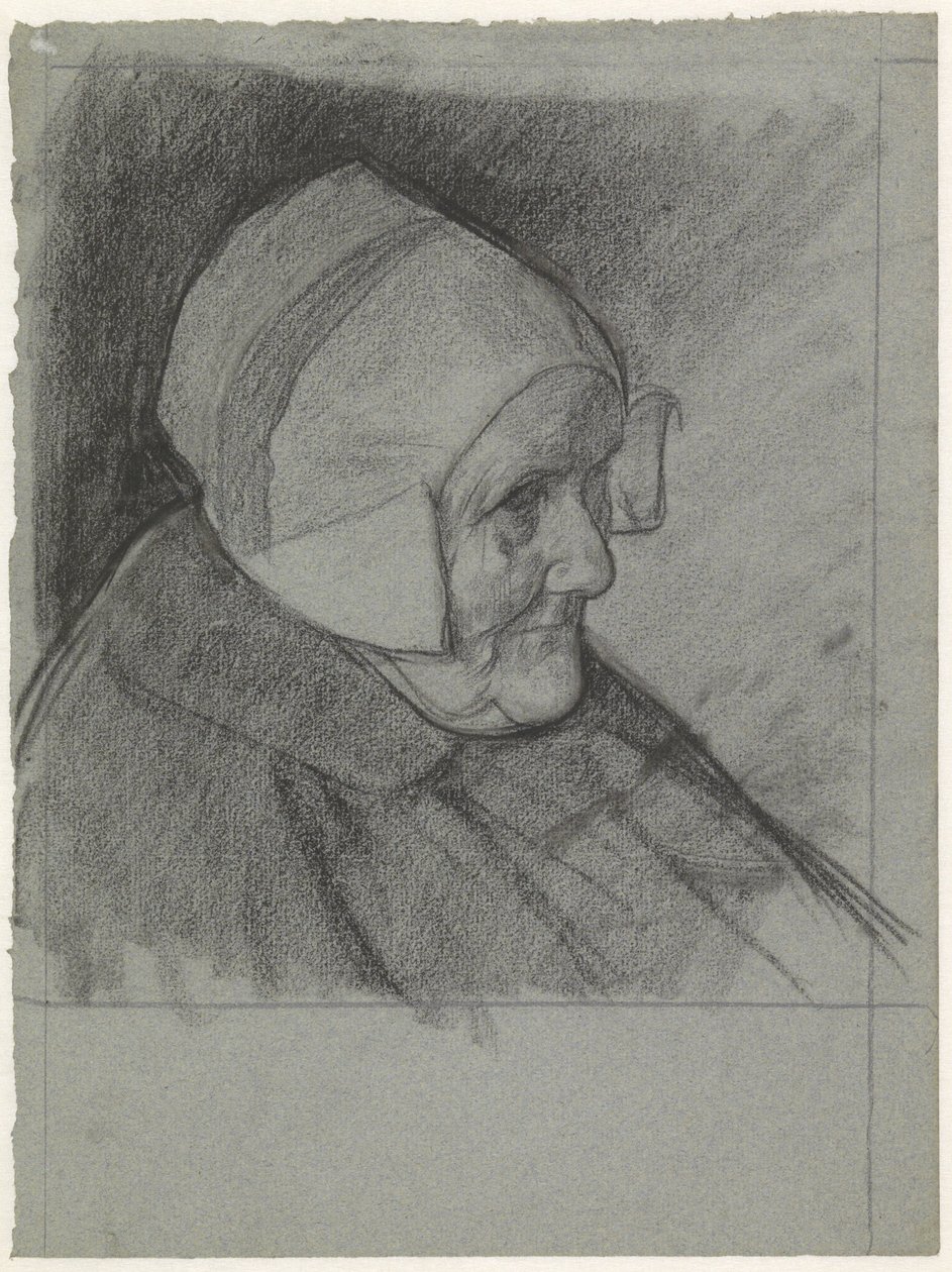 Retrato de la señora van den Brink de Jan Veth