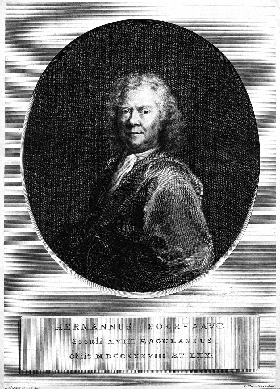 Herman Boerhaave, grabado por Jacobus Houbraken de Jan Wandelaar
