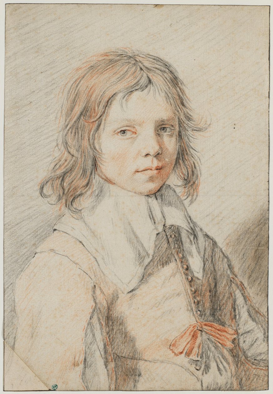 Retrato de un niño de Jan de Bray