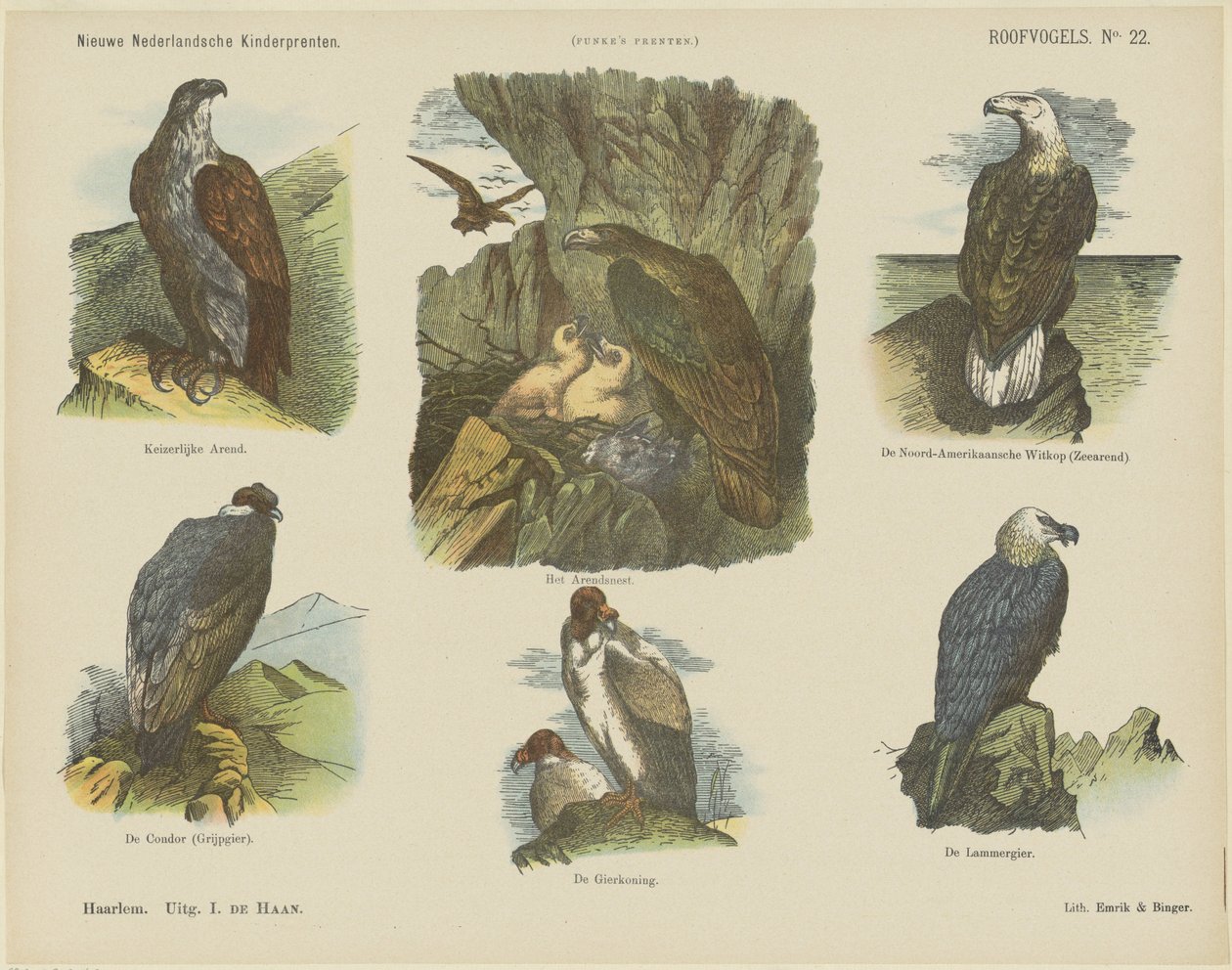 Aves de rapiña (título en el objeto)
Nuevos grabados infantiles holandeses (título de la serie en el objeto)
Grabados de Funke (título de la serie en el objeto) de Jan de Haan