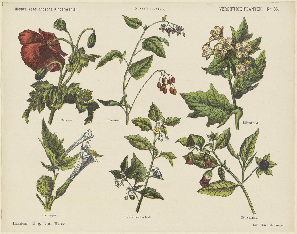 Plantas venenosas (título sobre objeto) Nuevos grabados infantiles holandeses (título de la serie en el objeto) Impresiones de Funke (título de la serie en el objeto) de Jan de Haan