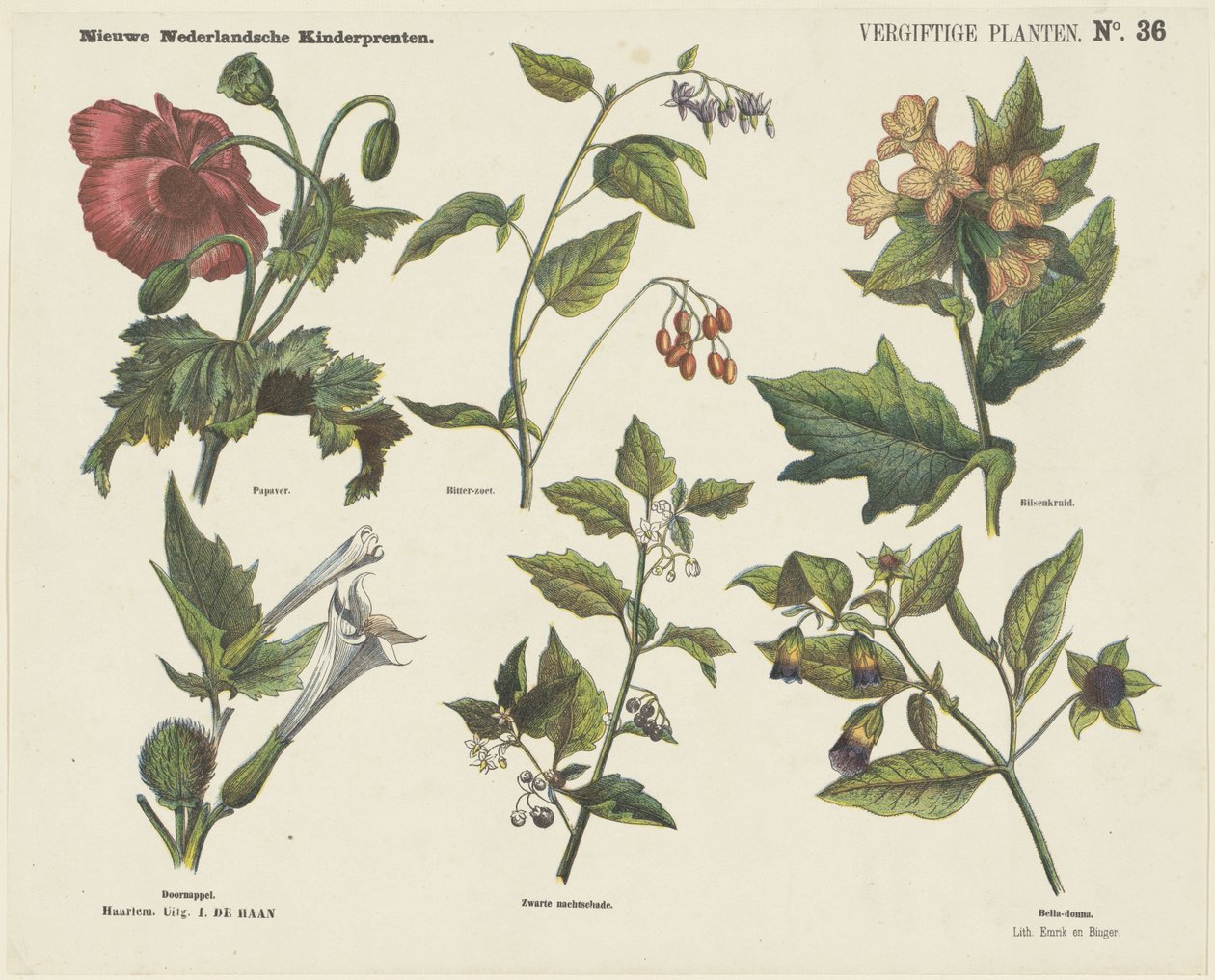 Plantas venenosas (título del objeto)
Nuevos grabados infantiles holandeses (título de la serie en el objeto) de Jan de Haan