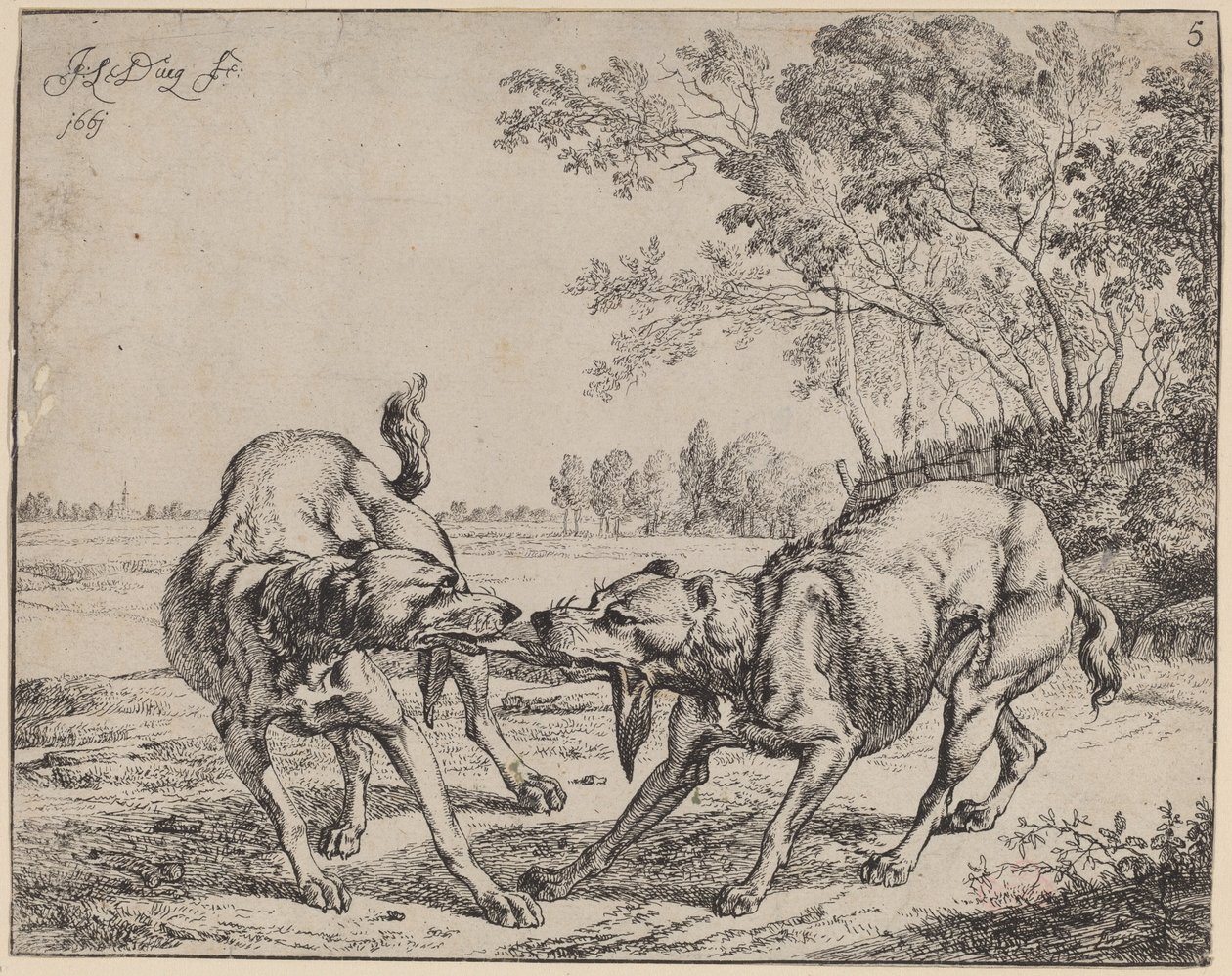 La carne disputada de Jan le Ducq