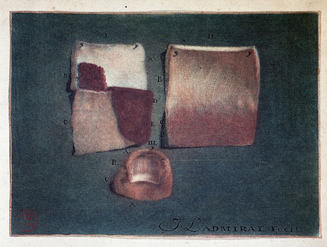 Diferentes colores de piel de Jan or Joannes Ladmiral