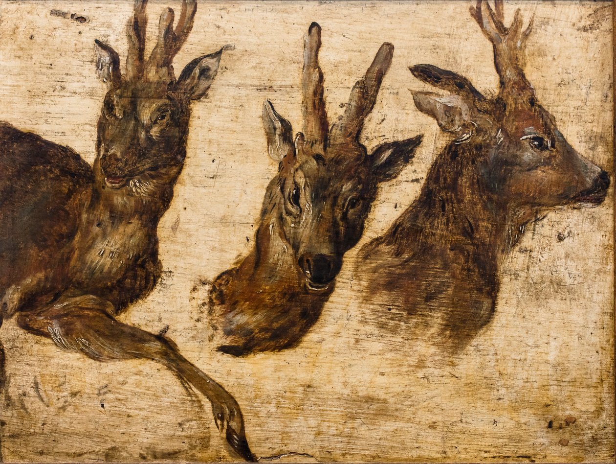  de Jan the Elder Brueghel