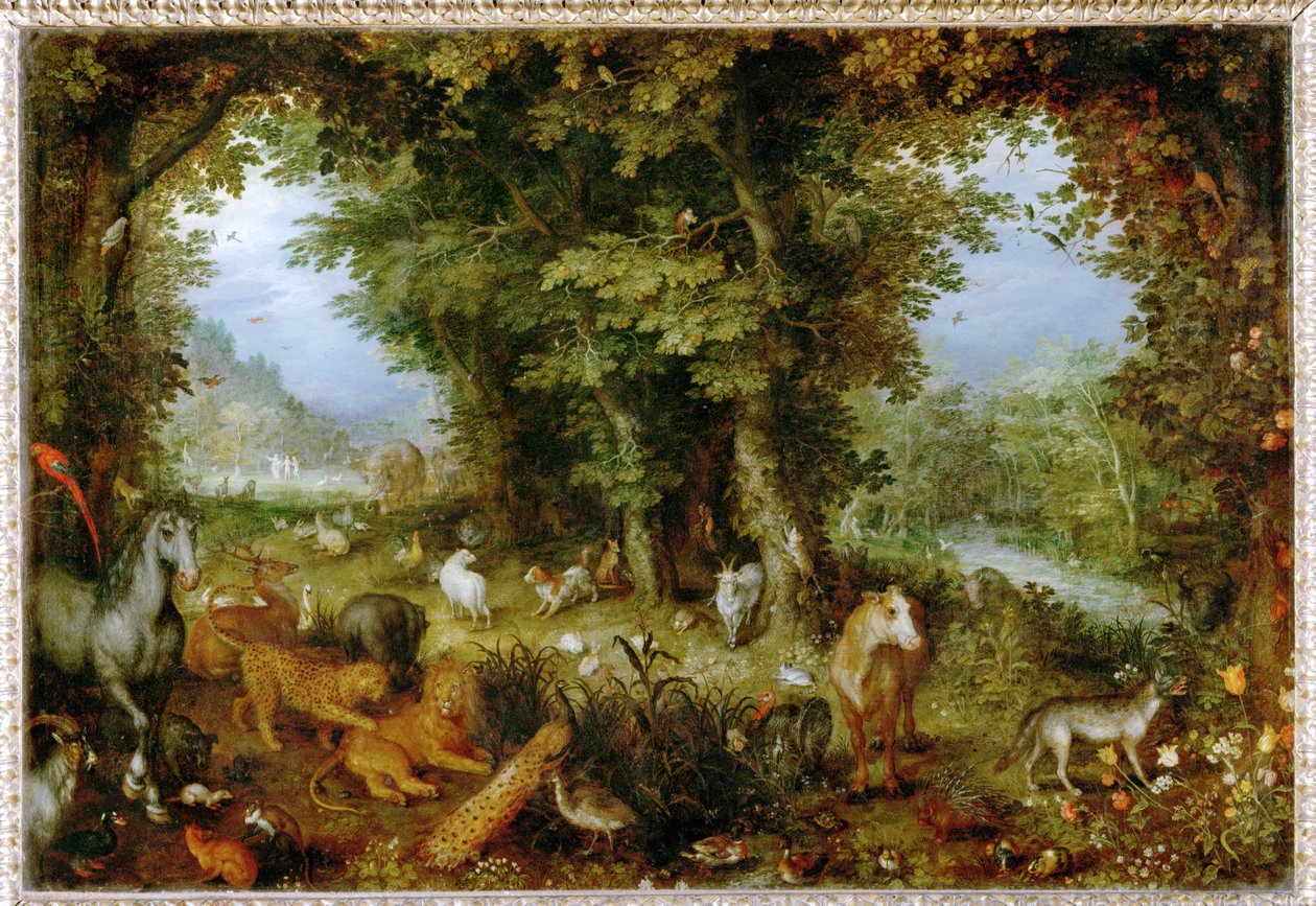 Le Paradis terrestre - El Paraíso en la Tierra ... de Jan the Elder Brueghel