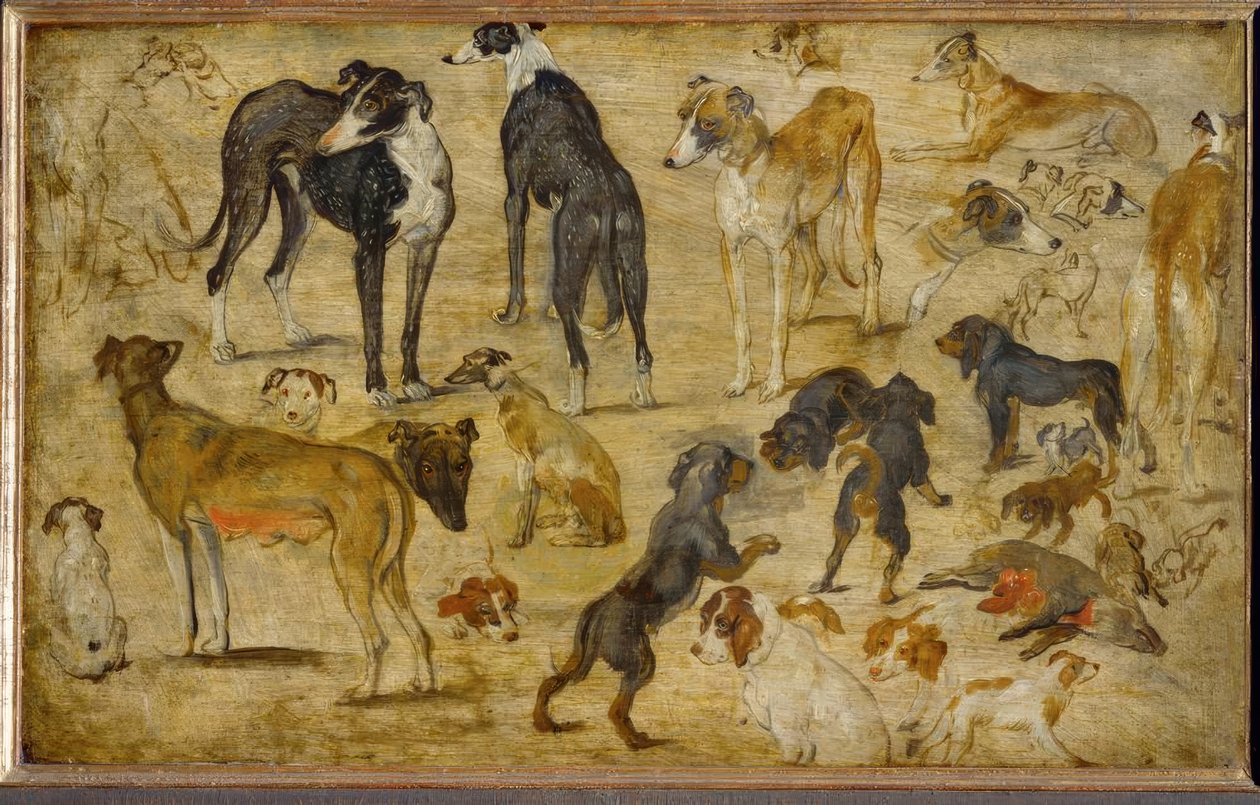 Estudios de animales de Jan the Elder Brueghel
