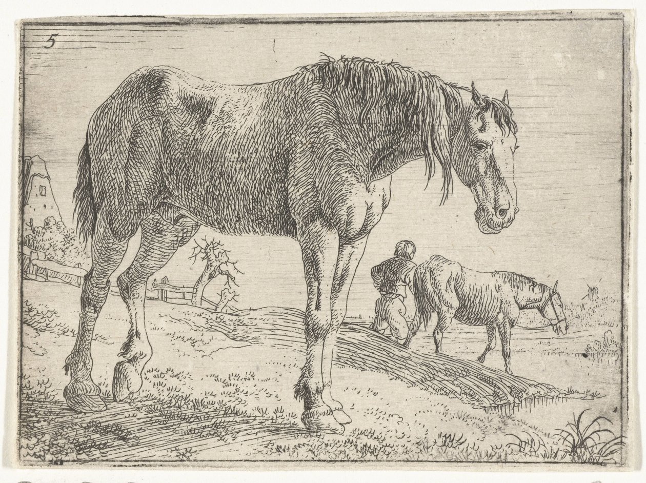 Caballo de pie
Paisajes con caballos (título de la serie) de Jan van Aken