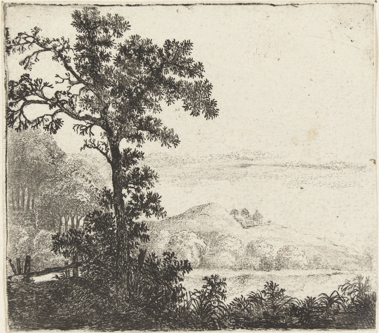 paisaje con arbol a la orilla de un rio de Jan van Brosterhuyzen