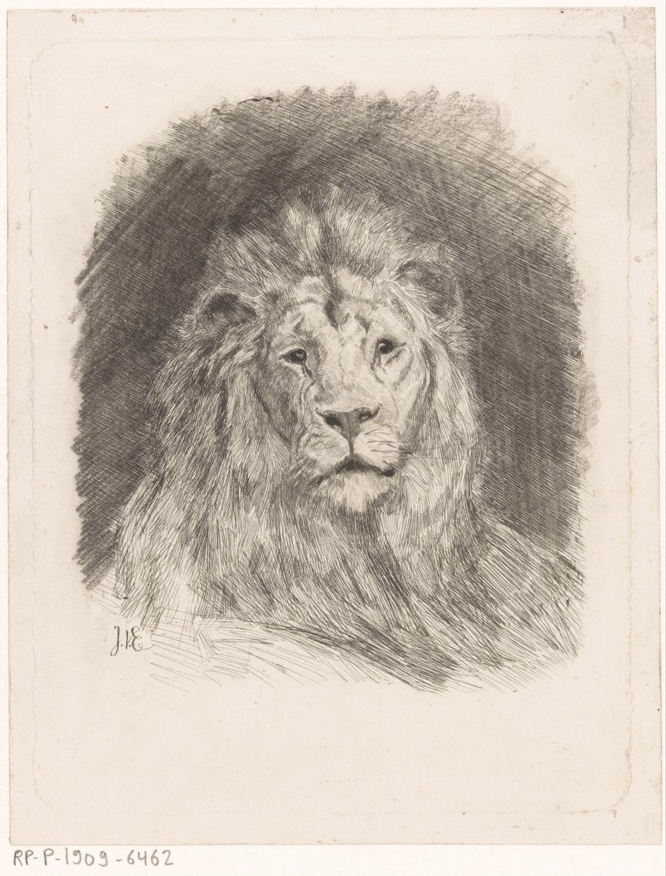 Cabeza de león de Jan van Essen