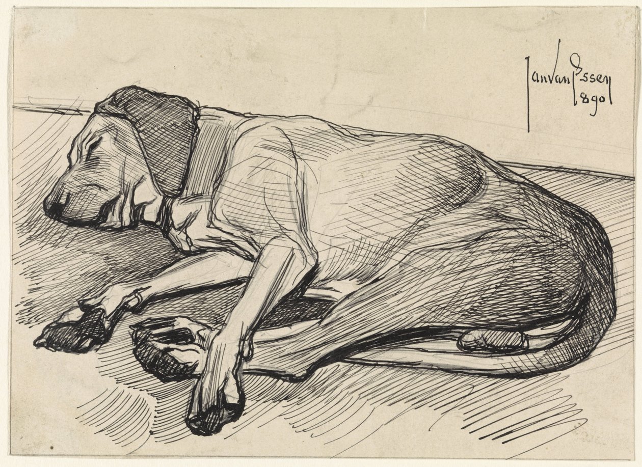 Perro dormido, a la izquierda de Jan van Essen