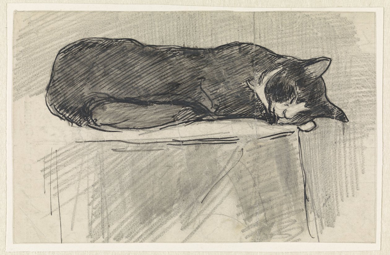 Gato dormido de Jan van Essen